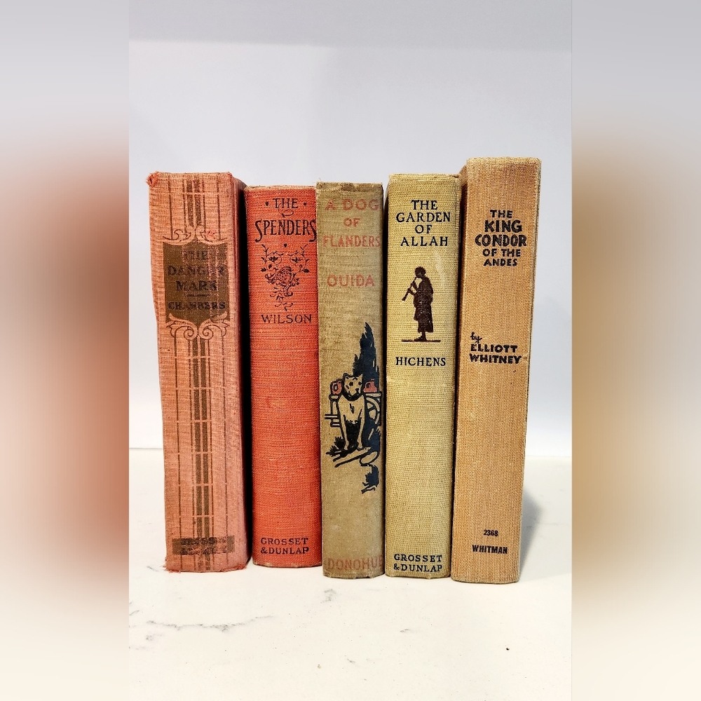Vintage Book Collection